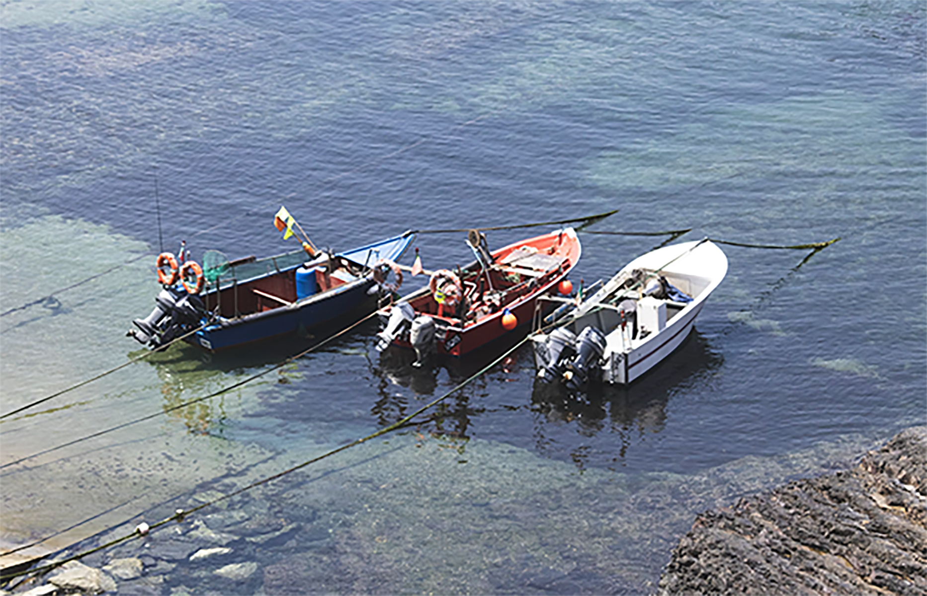 Read more about the article Somalia’s Fisheries Sector: A Primer on the Sector