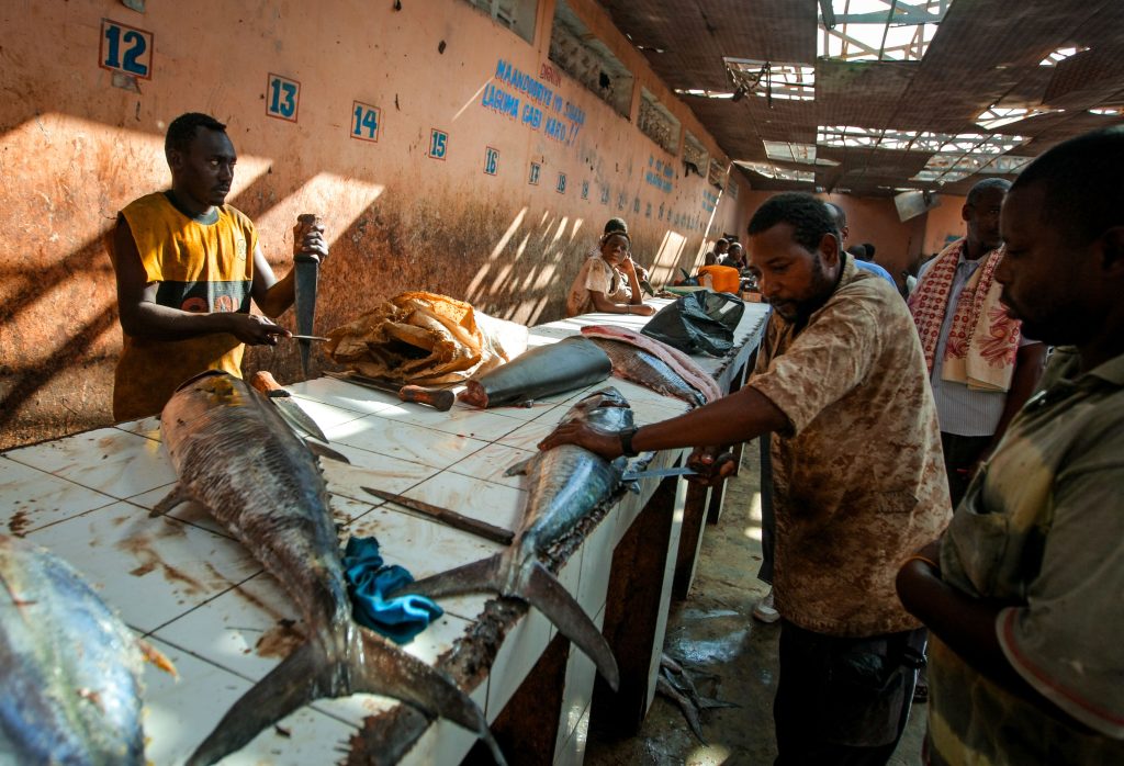 Unlocking Somalia’s Untapped Blue Economy